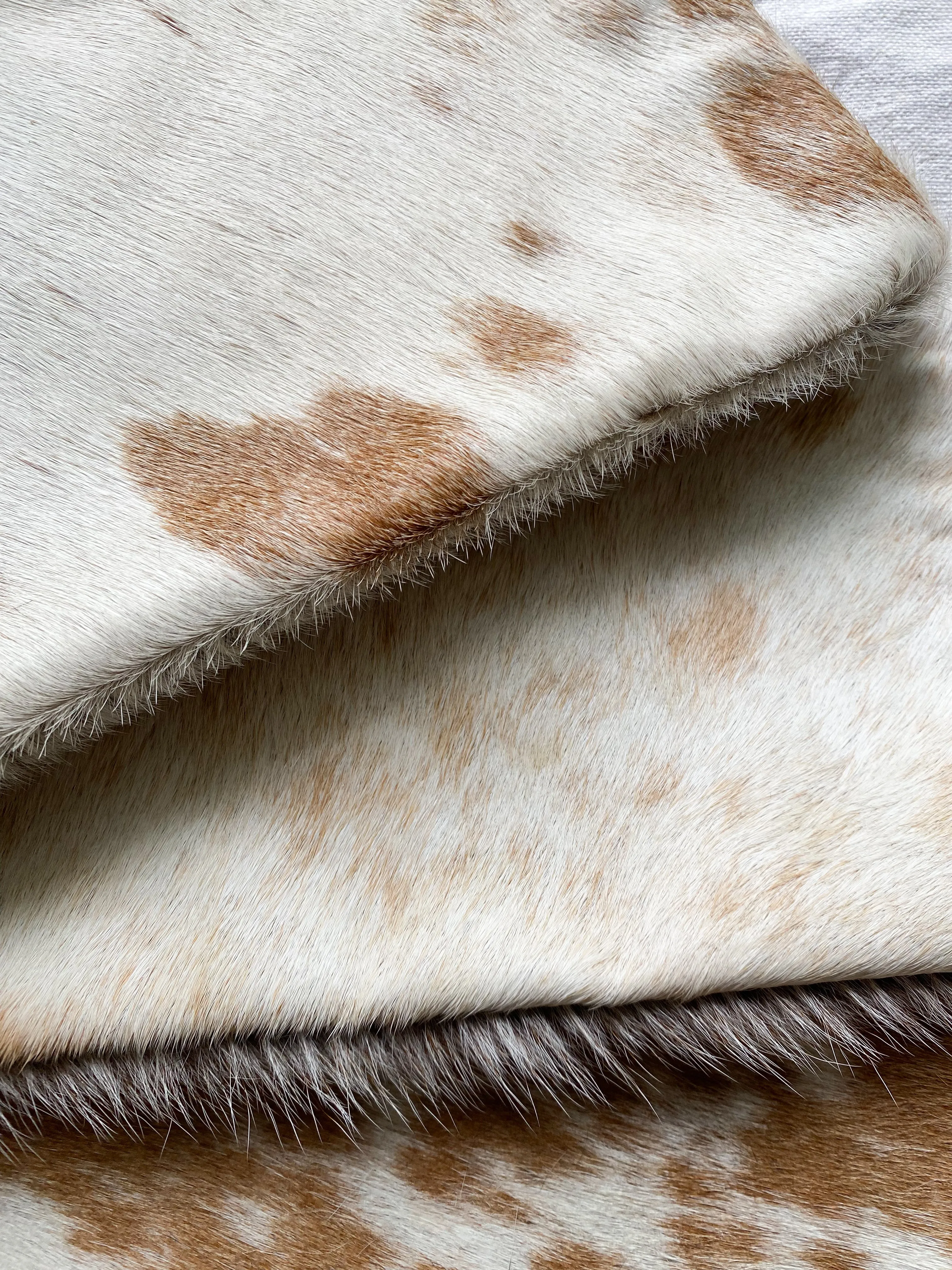 Radley cowhide [medium] clutch