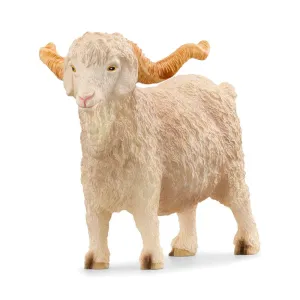 Scheich Angora Goat