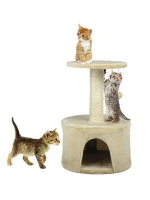 Scratching Cat Toy