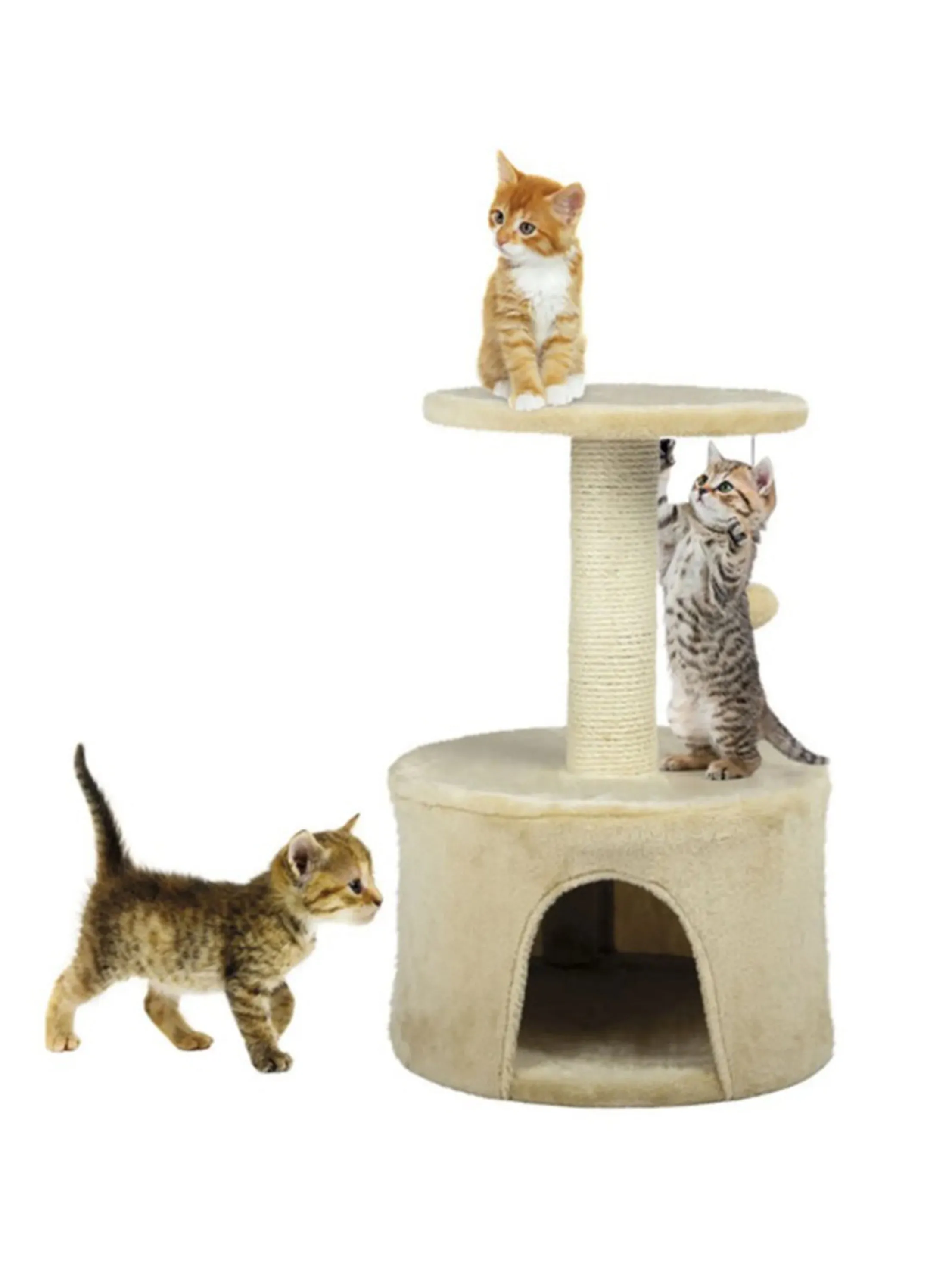 Scratching Cat Toy